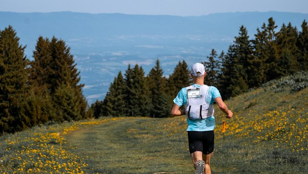 Trail runner ascending a mountain path through wildflowers.